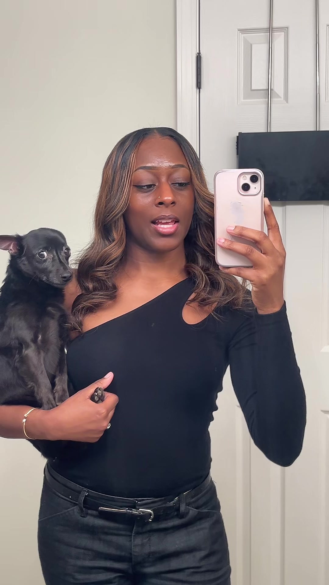 @Blackjack_Chihuahua