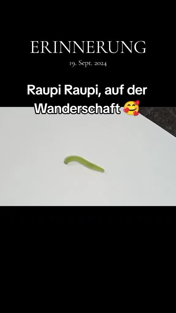 @laleluMondin