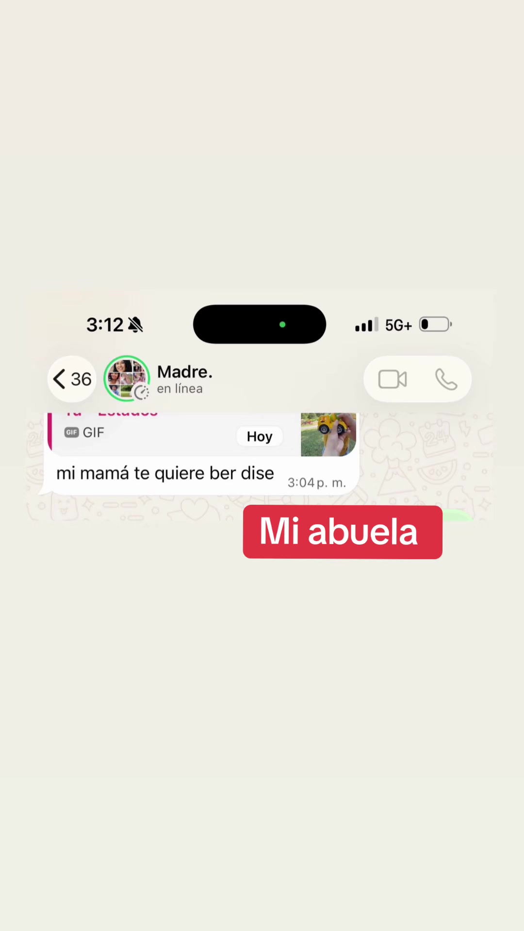 @Abbichapina🇬🇹1