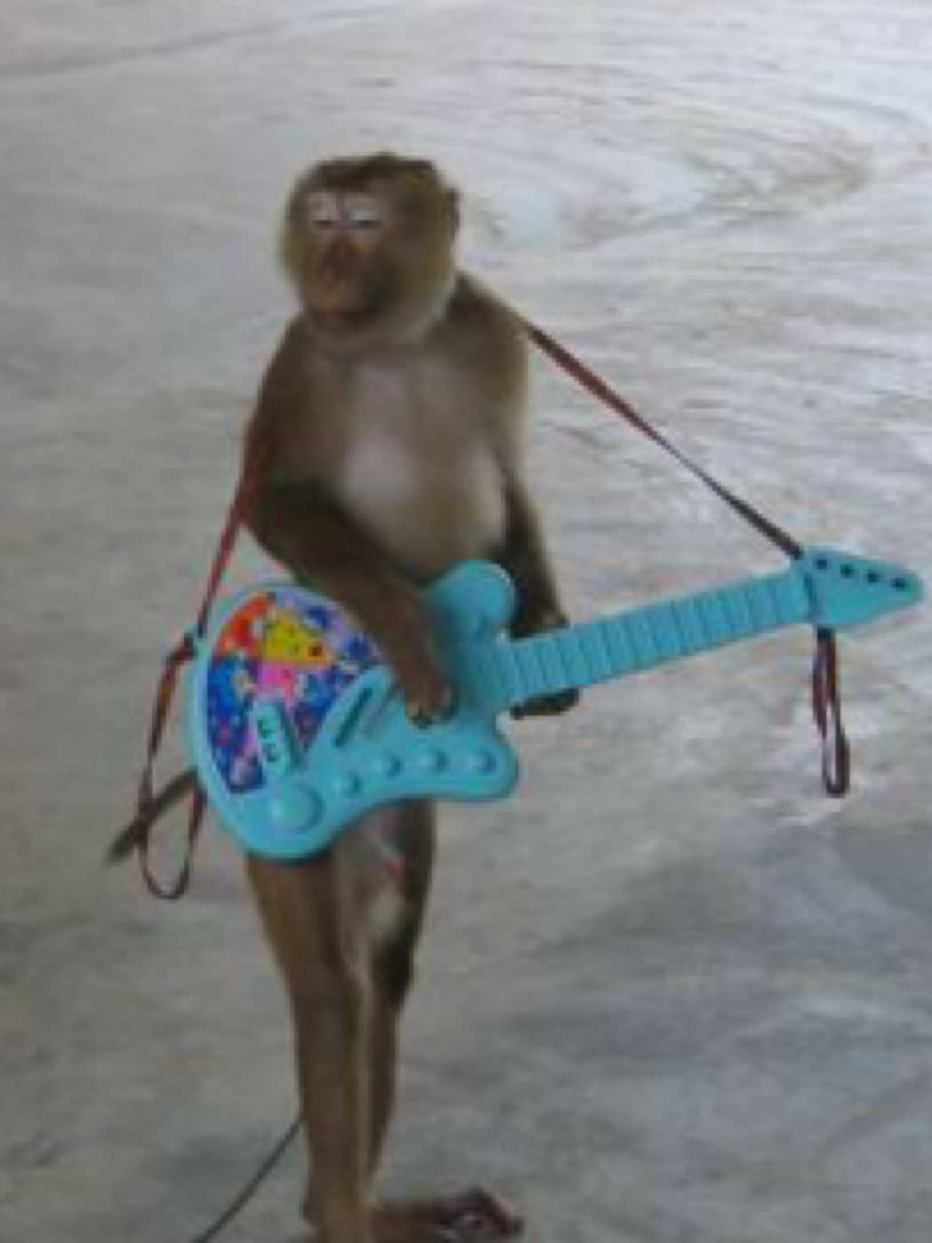 @Chris