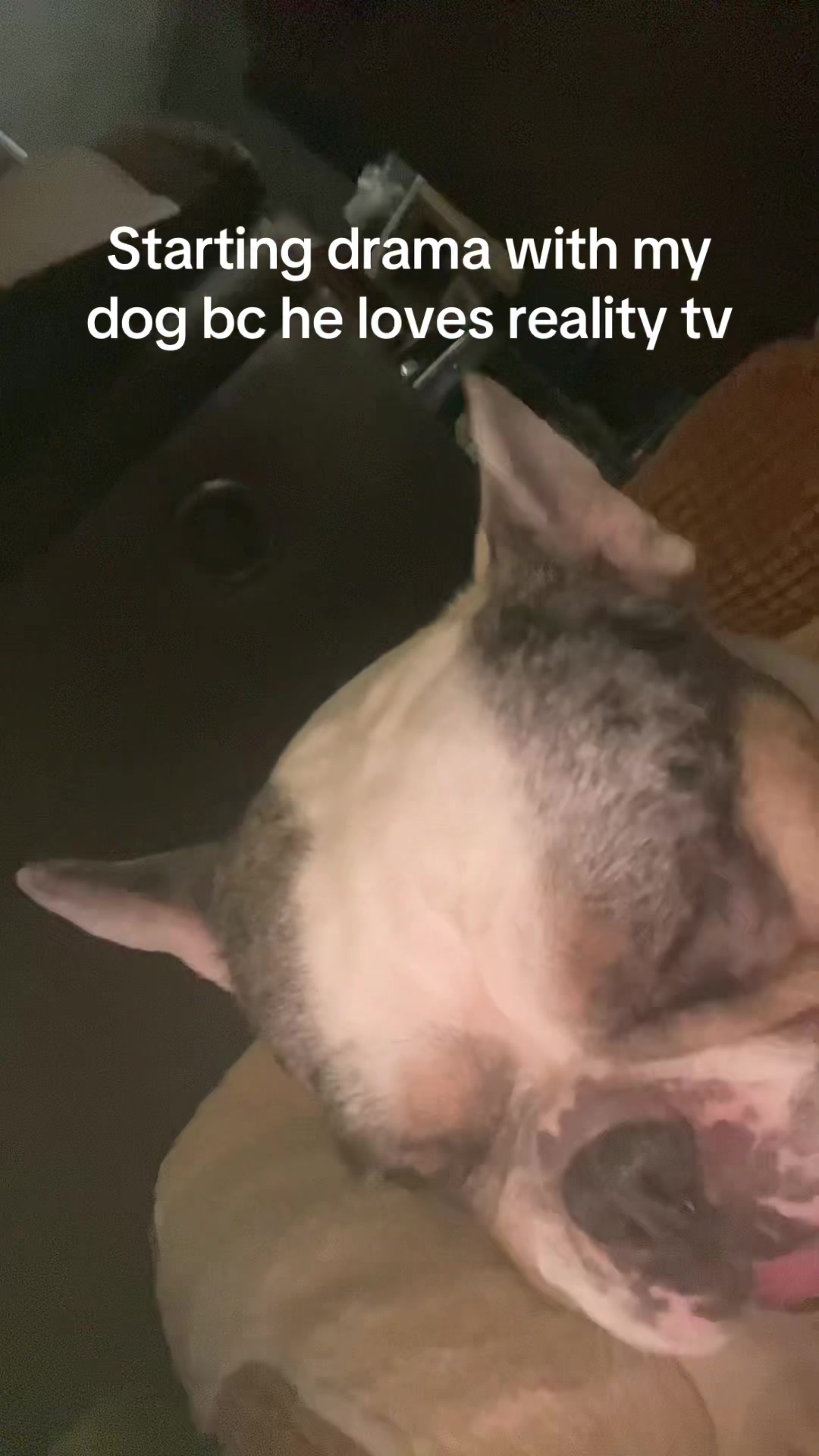 @p a i g e