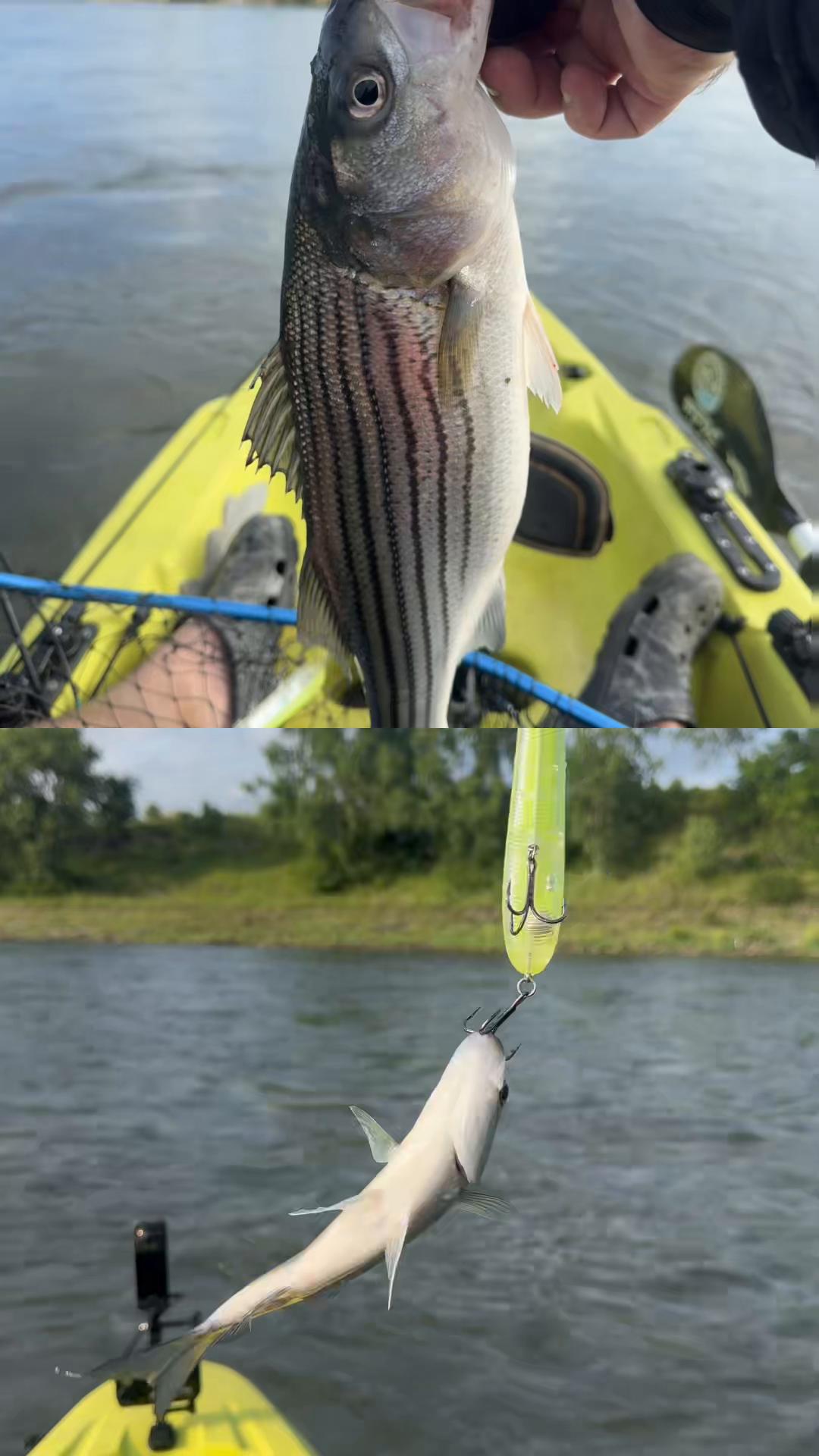@OkieOnTheRiver
