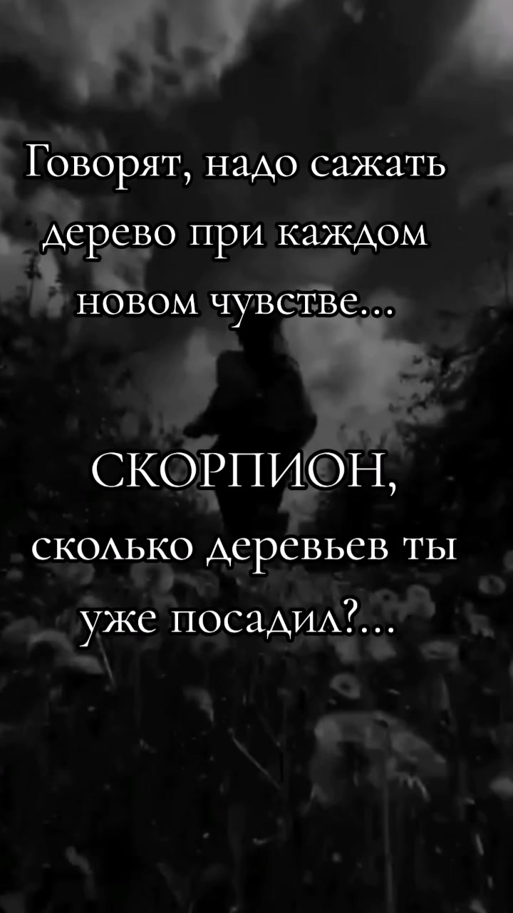 @𓆩🖤𝑮𝒍𝒂𝒛𝒂𝒔𝒕𝒊𝒌♏︎🇺🇦𓆪