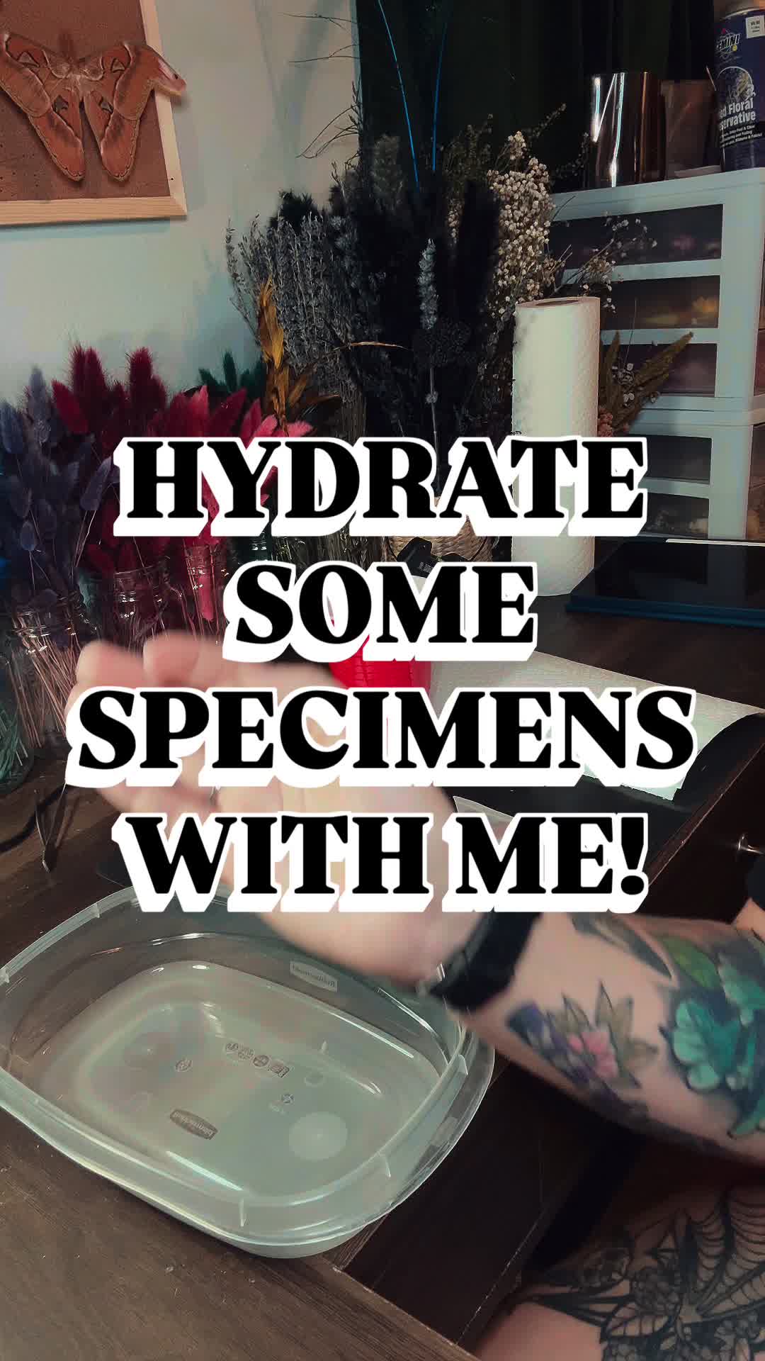 @deadhilloddities