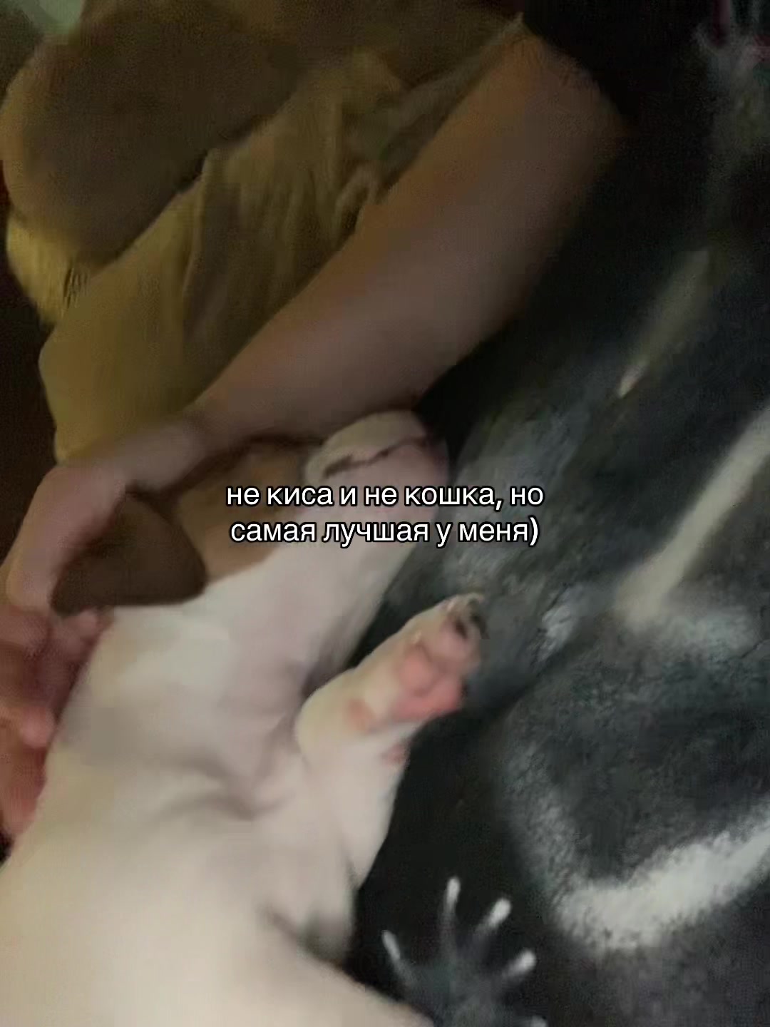 @Полка🧟&zwj;♀️