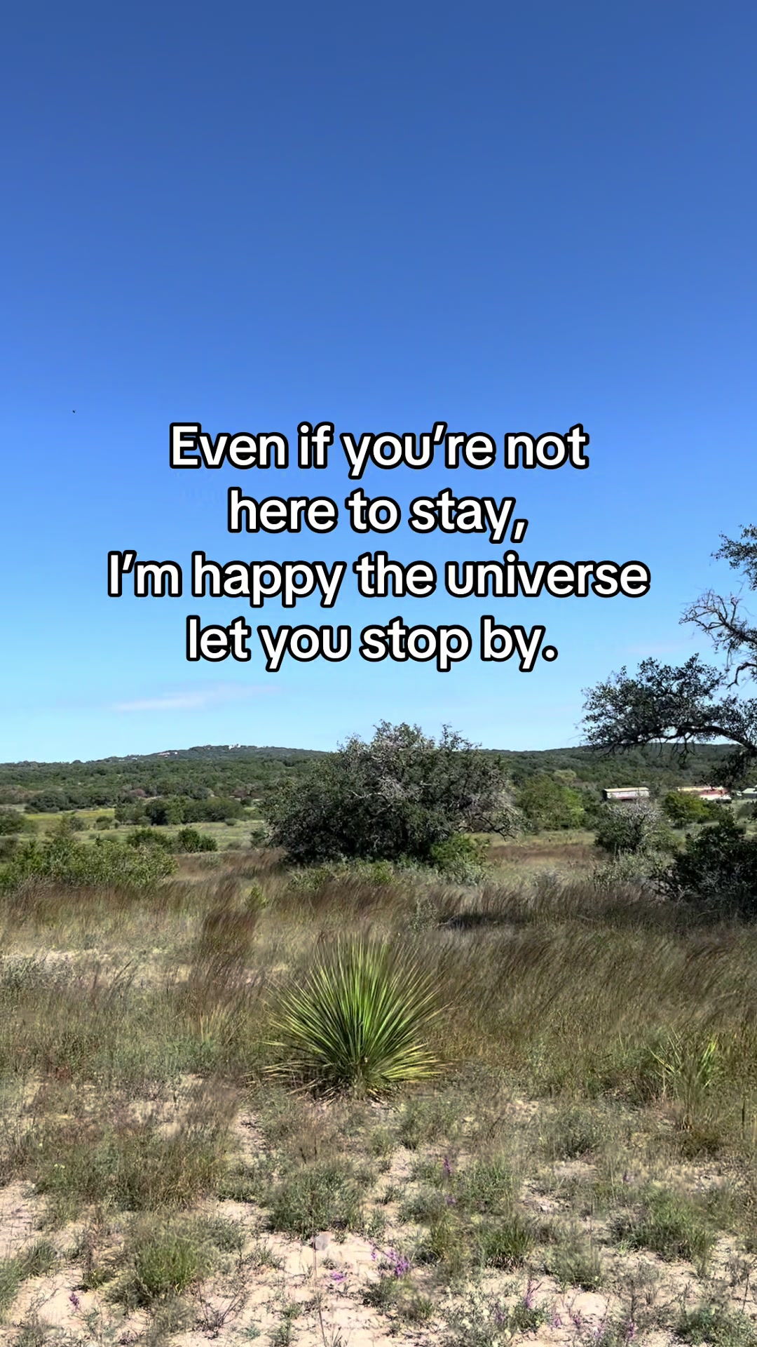 @Texas Lady