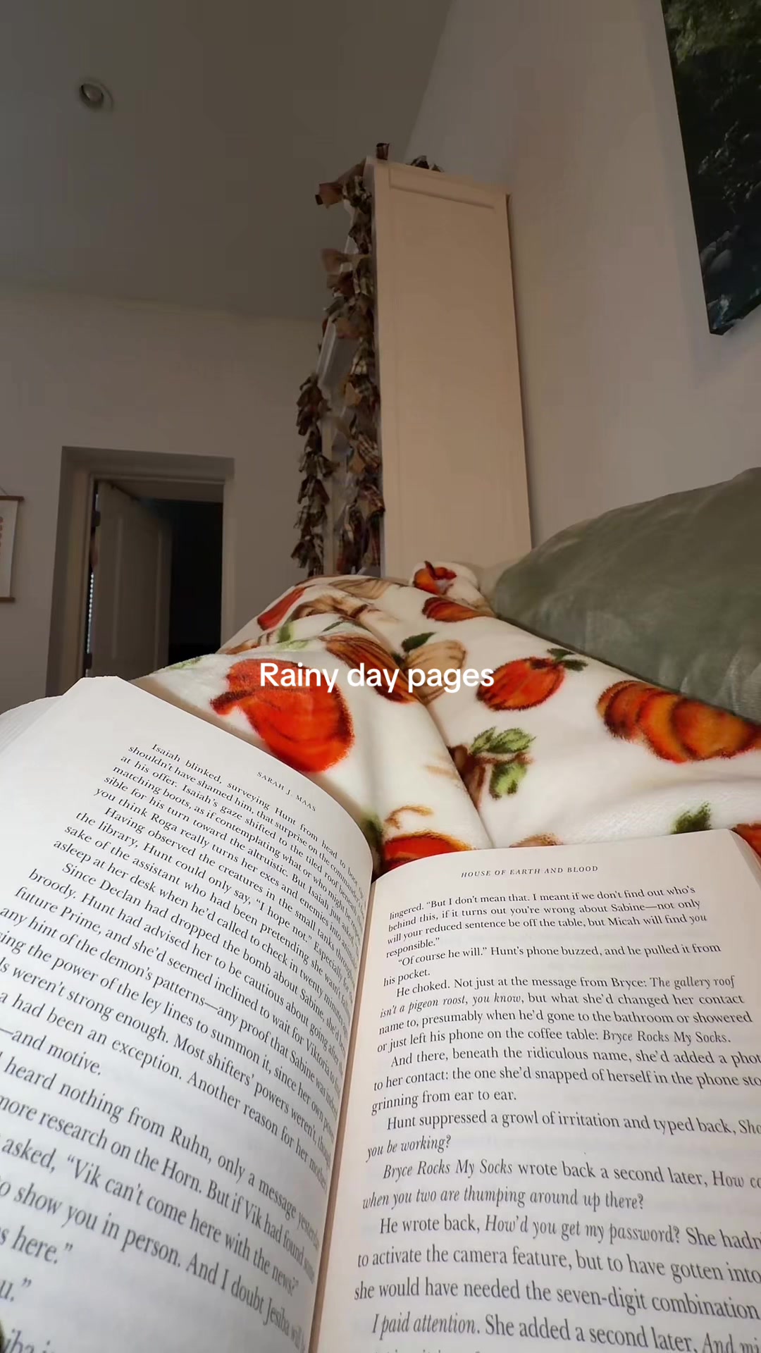 @Amanda Monachelli 🥾📚
