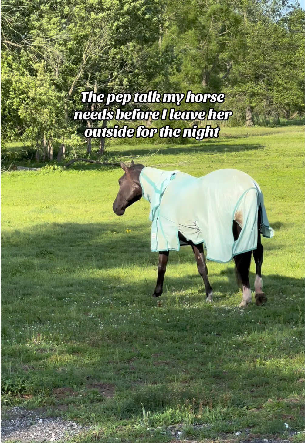 @Equestrian |🦄 Mom