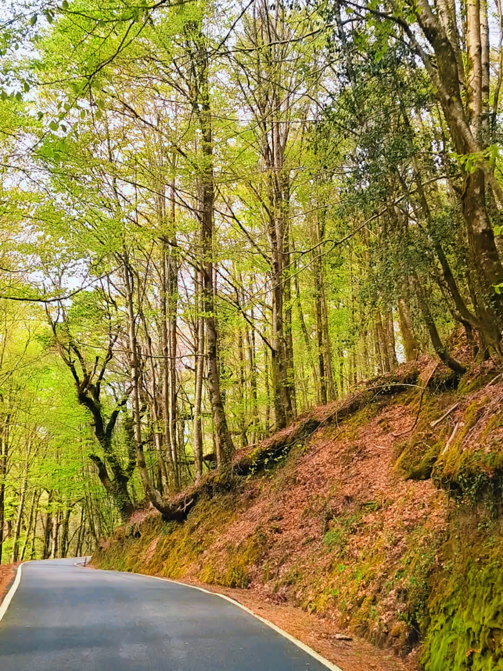 @Ger&ecirc;s Vibes