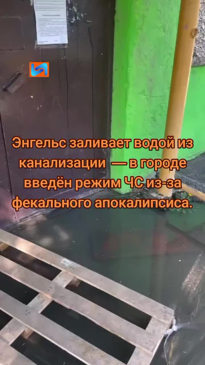 @vn
