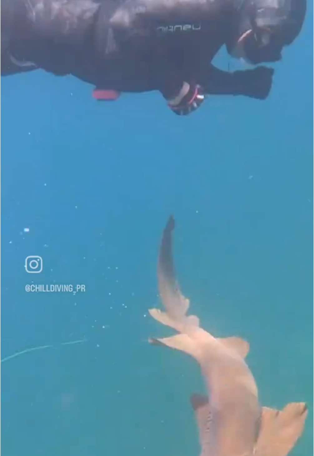 @Chill Diving