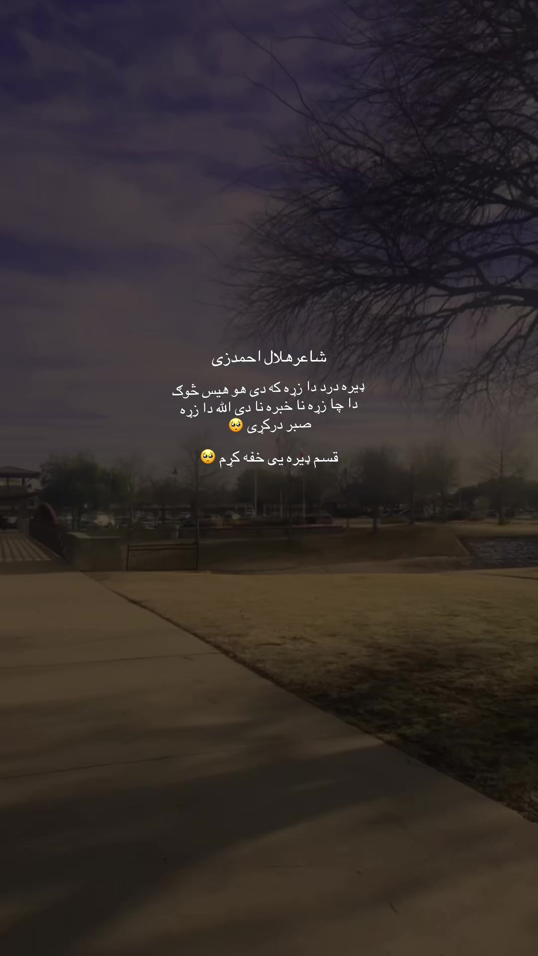 @𝓟𝓪𝓴𝓽𝓲𝓪𝔀𝓪𝓵🥀𝓰𝓪𝓷𝓲