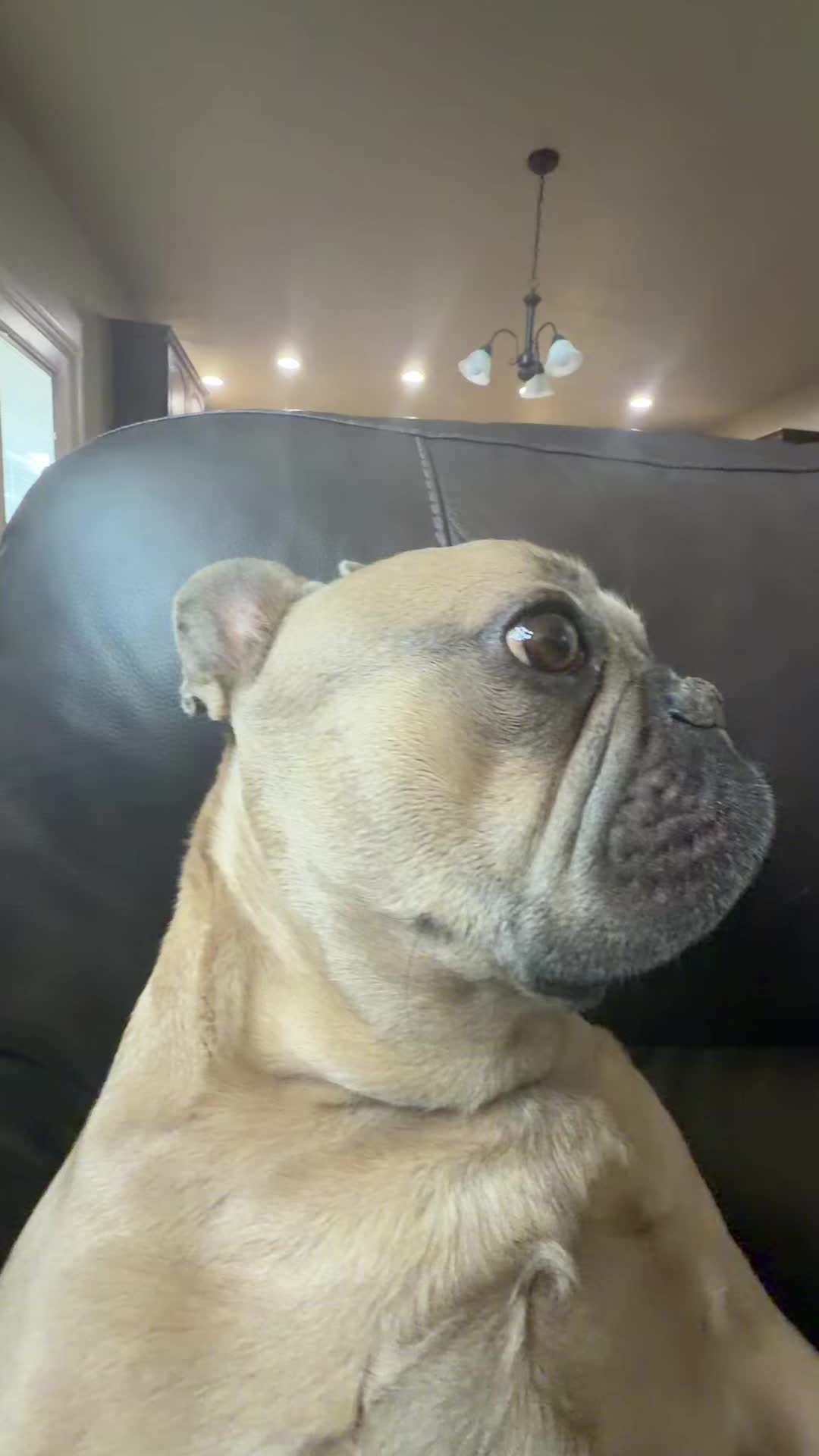 @bentleytheg0at