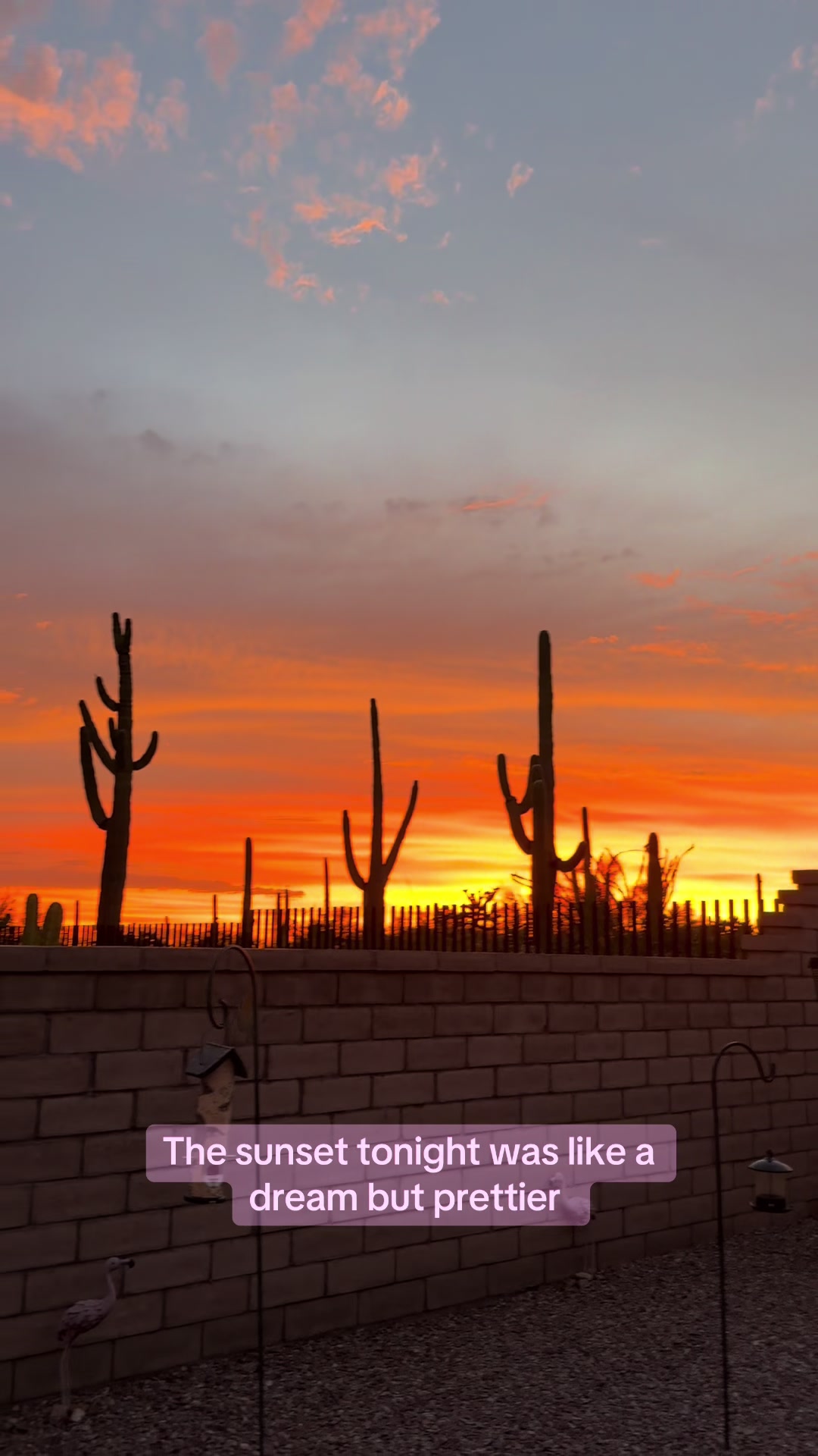 @desertgirly14