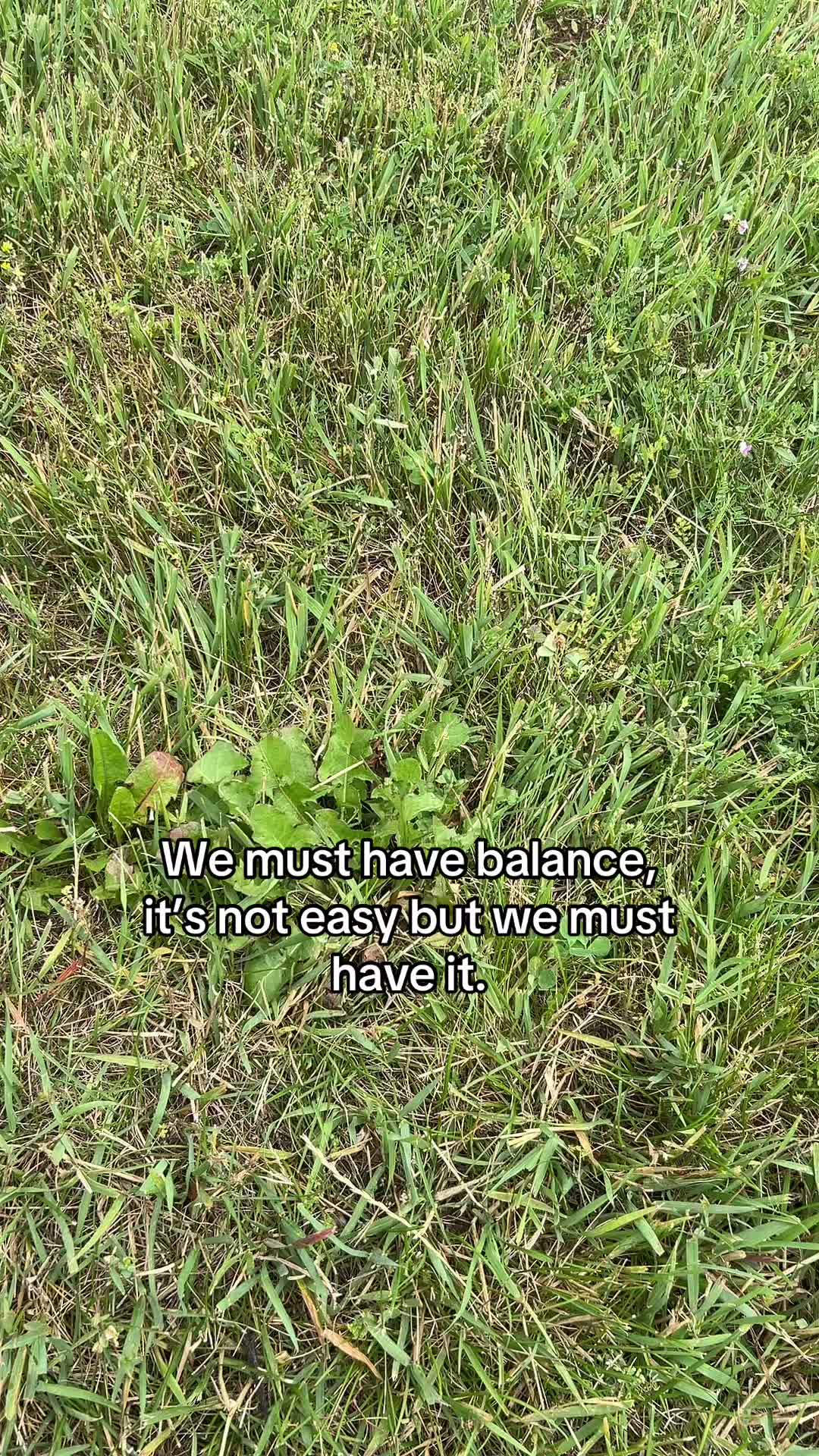 @Reese