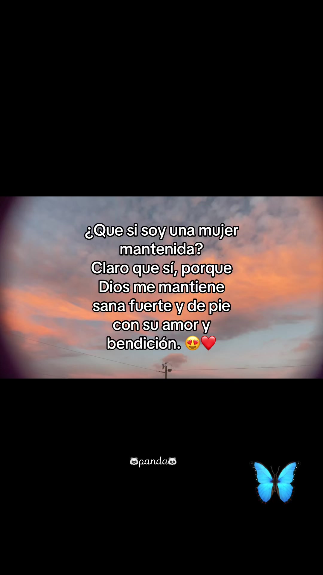 @chica06panda