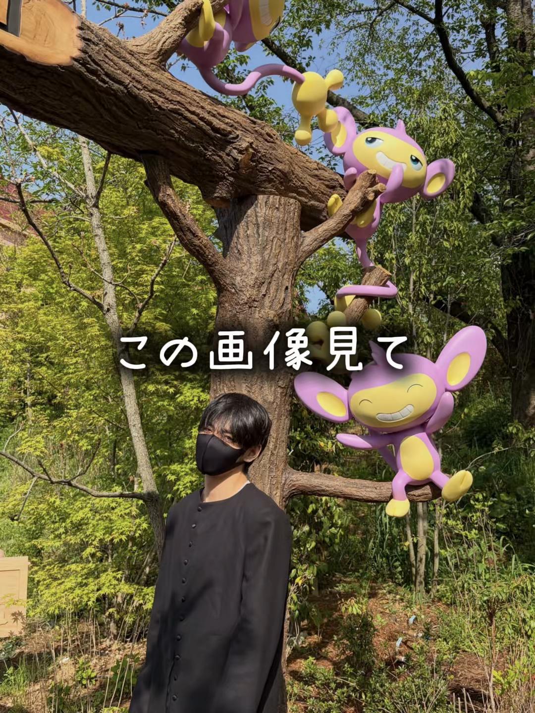 @syokorin36