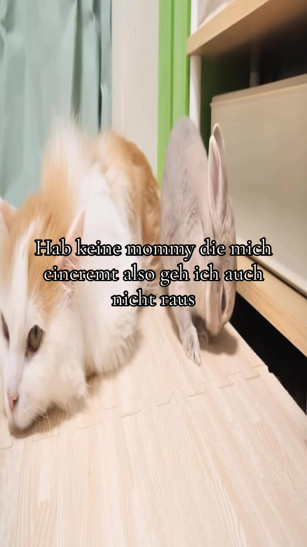 @Eierkopfsalat