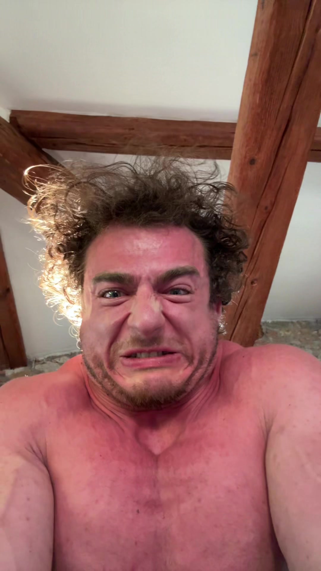@leospollii