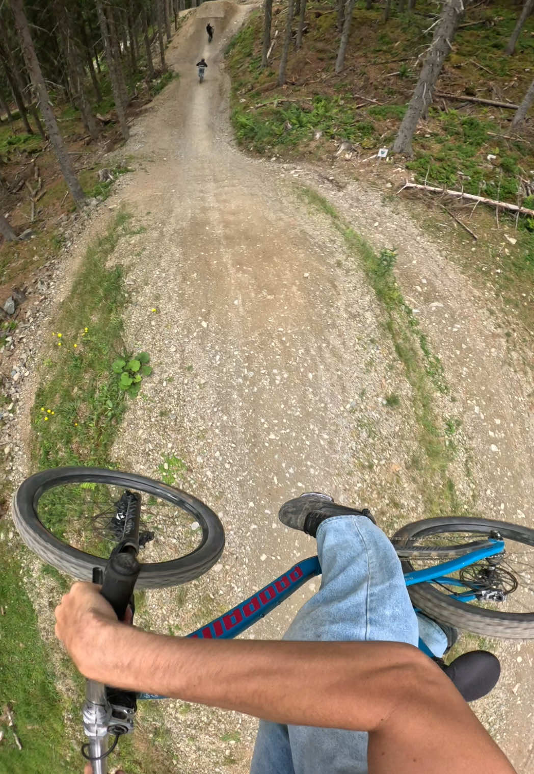 @mx.luca76