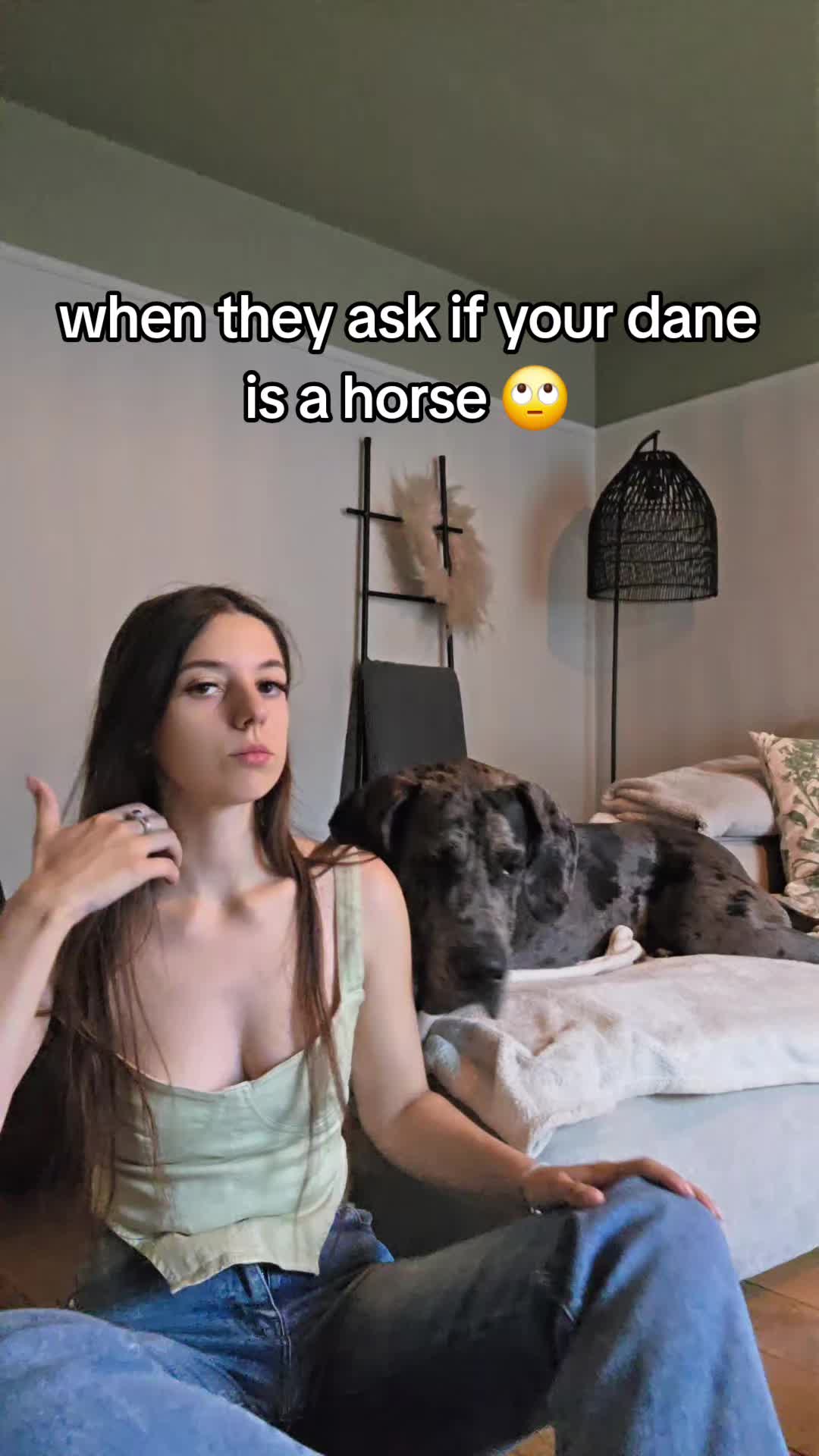 @Magnus the GREAT DANE