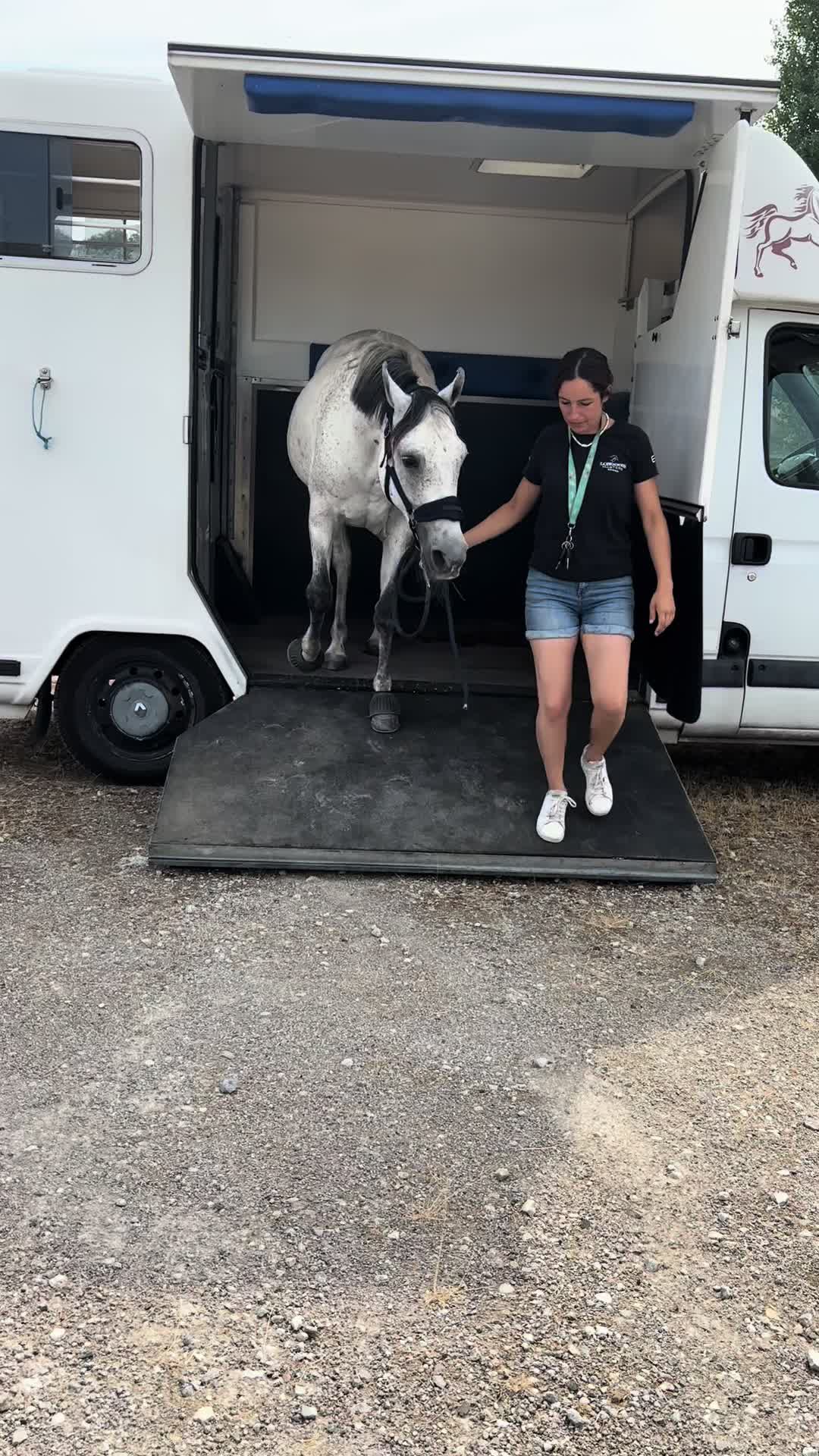 @Réflexions Equestres