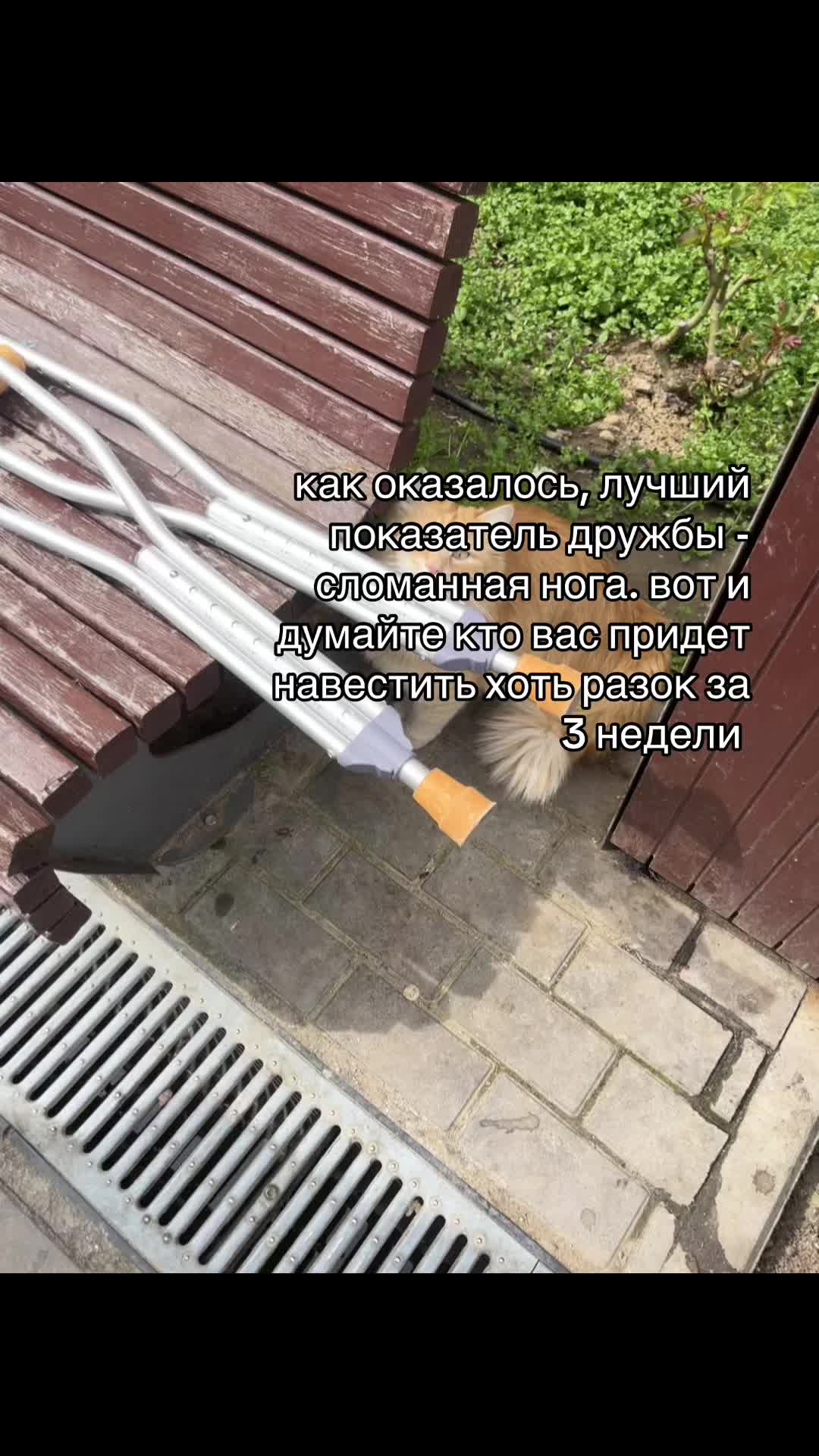 @лореш