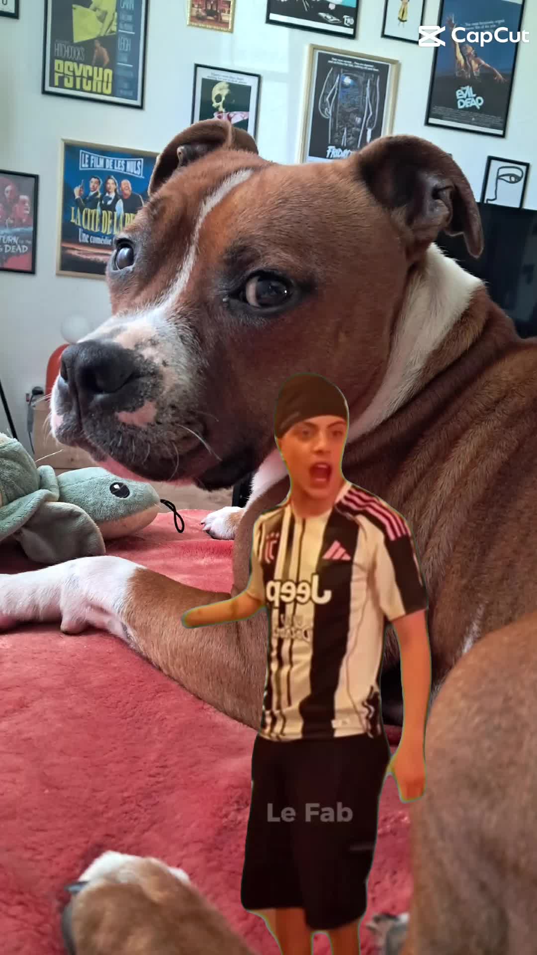 @morty le staffie