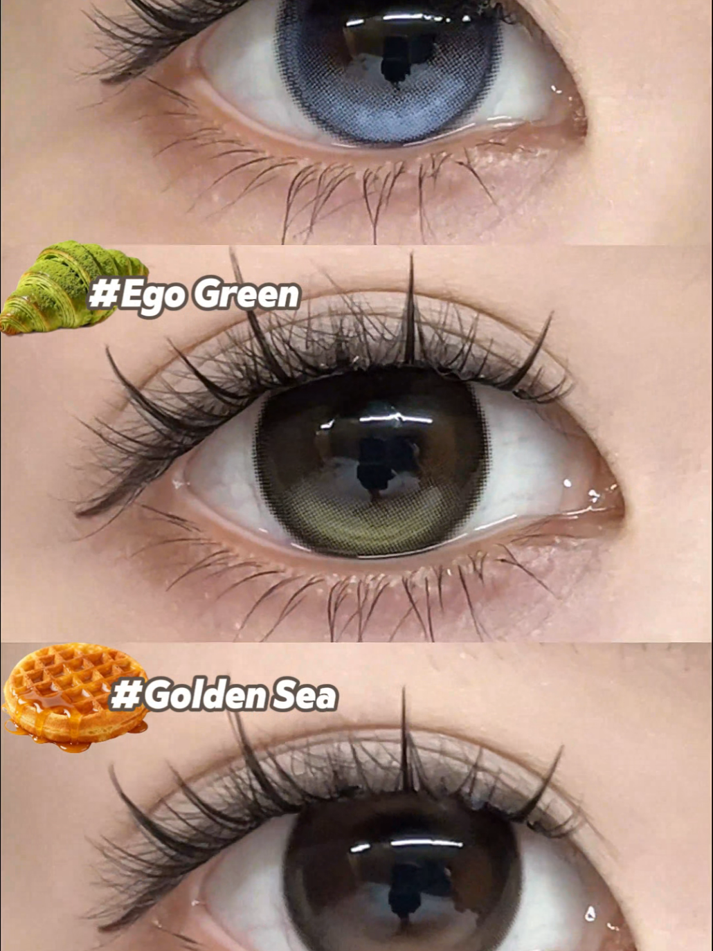 @sigocontacts_official