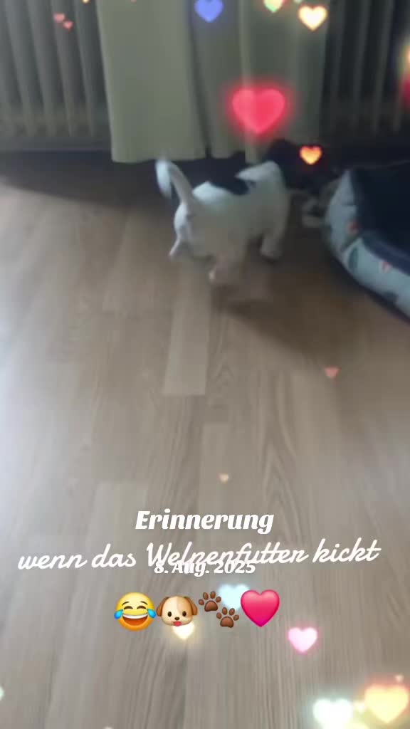@möhrchen🥕