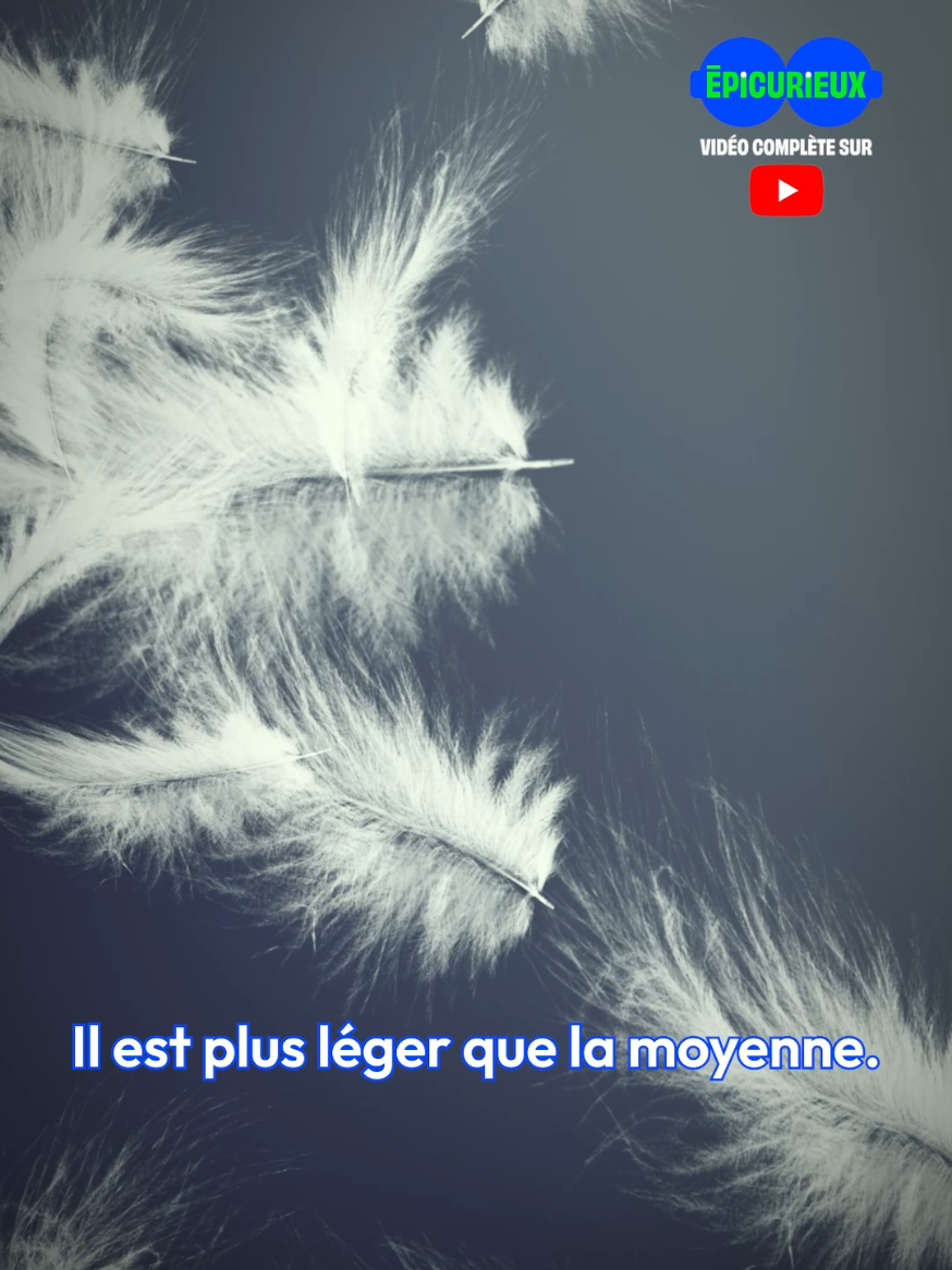 @Jamy - Epicurieux