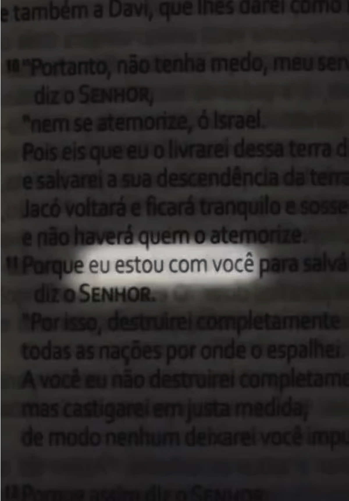 @evy.morais
