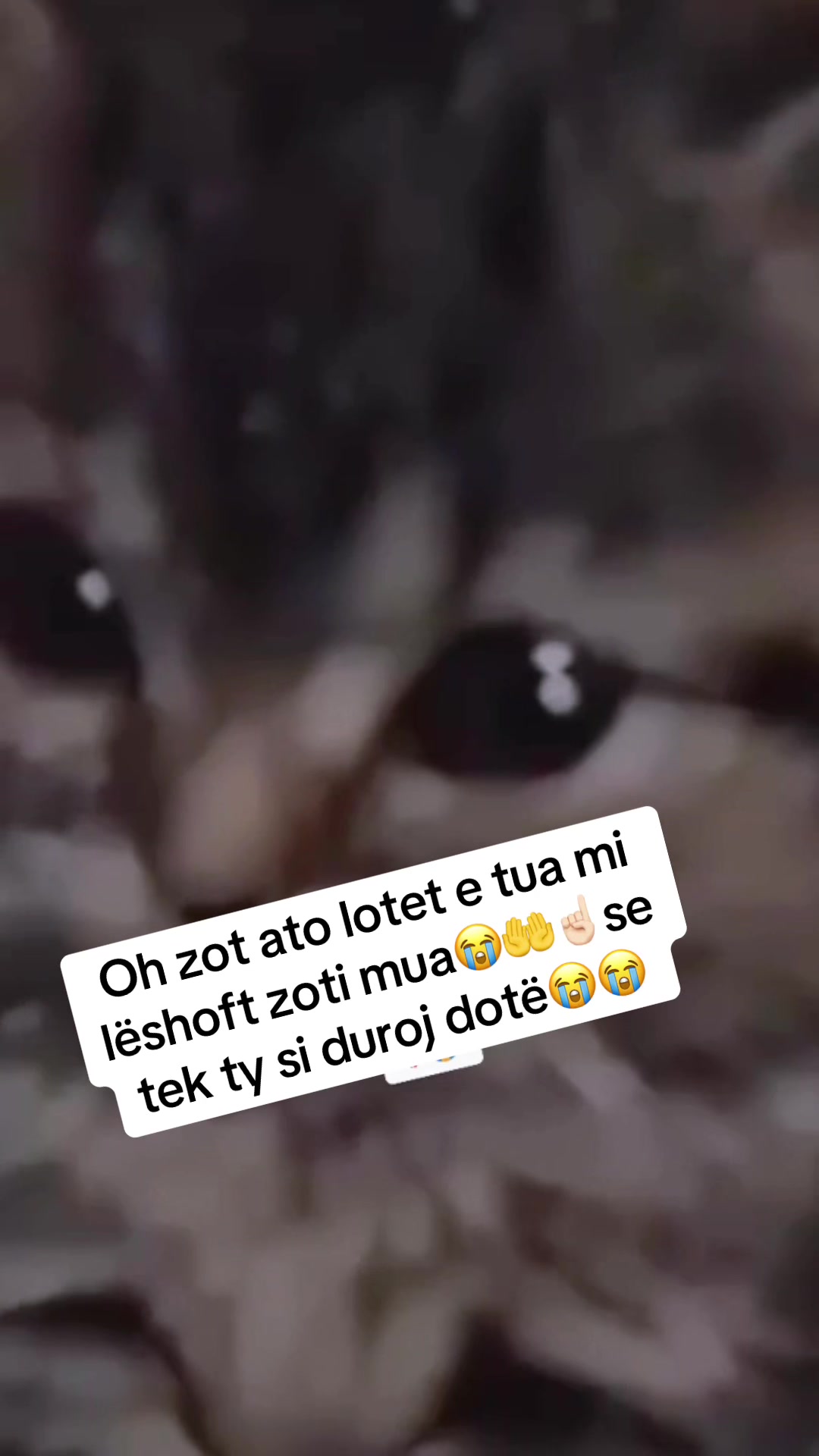 @Vdes per këto te dyja😻😻
