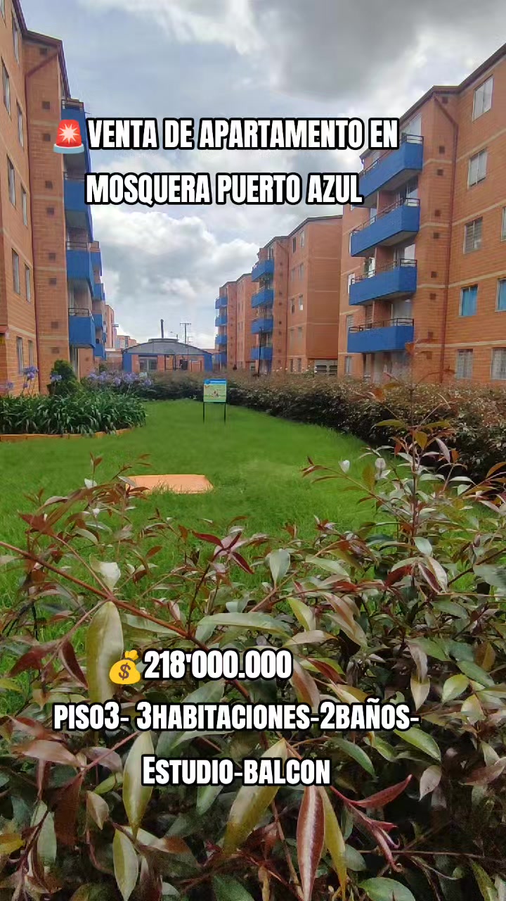 @of gold inmobiliaria
