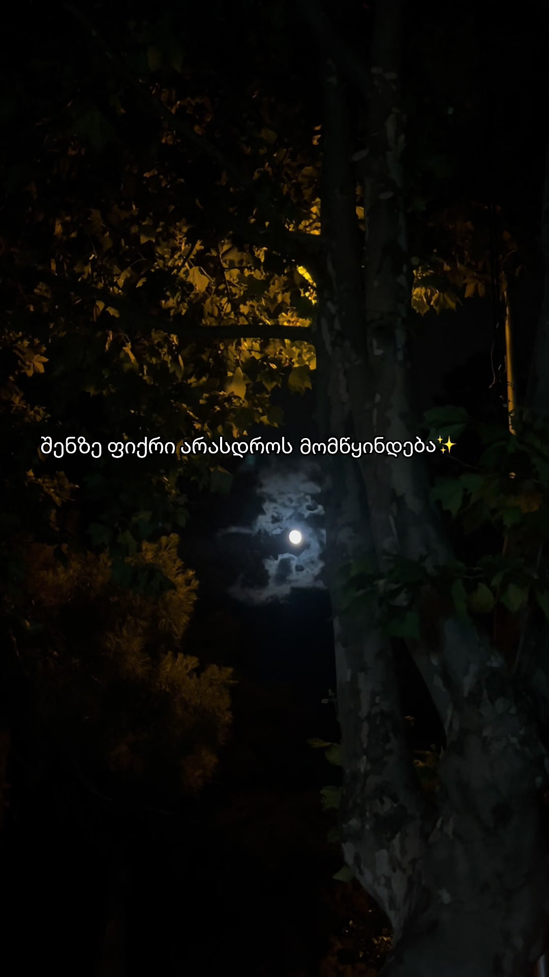 @๐ซแฉแแแ แกแแแงแแ แ๐ซ