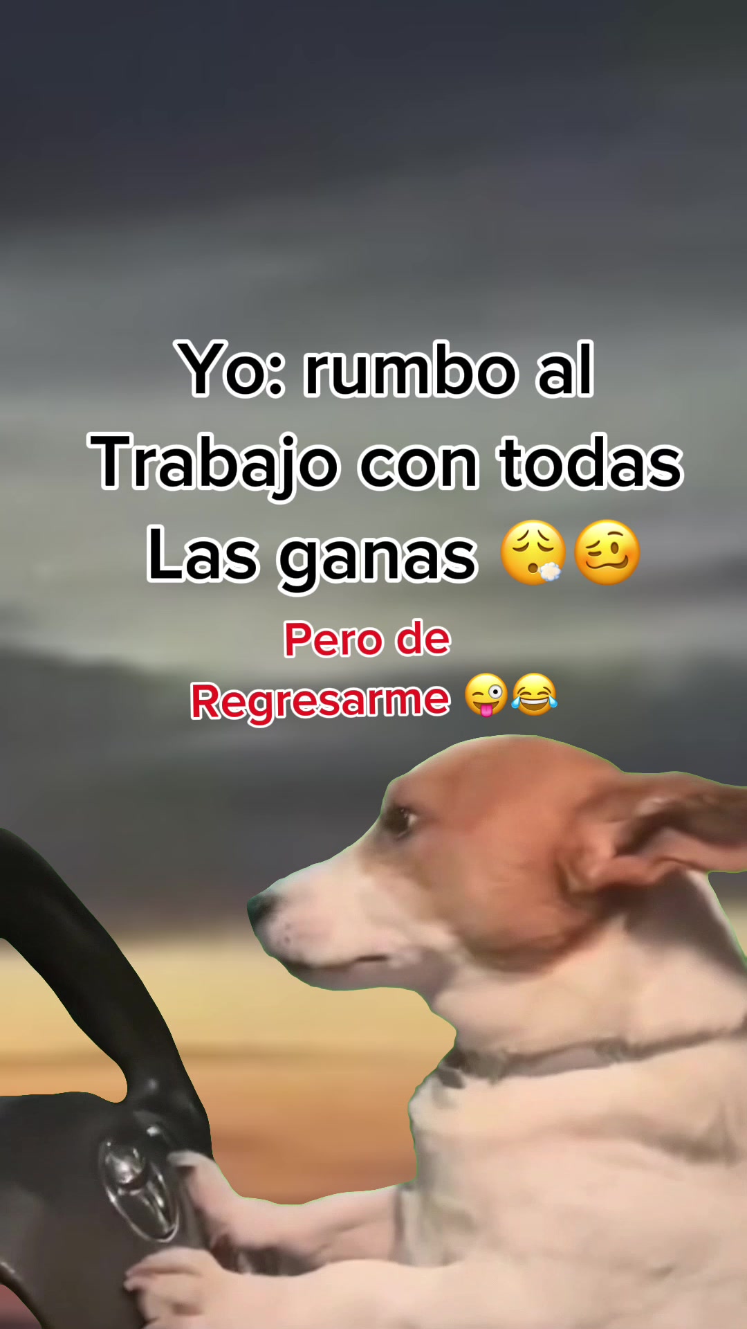 @Camy:GY👸🏻🥰