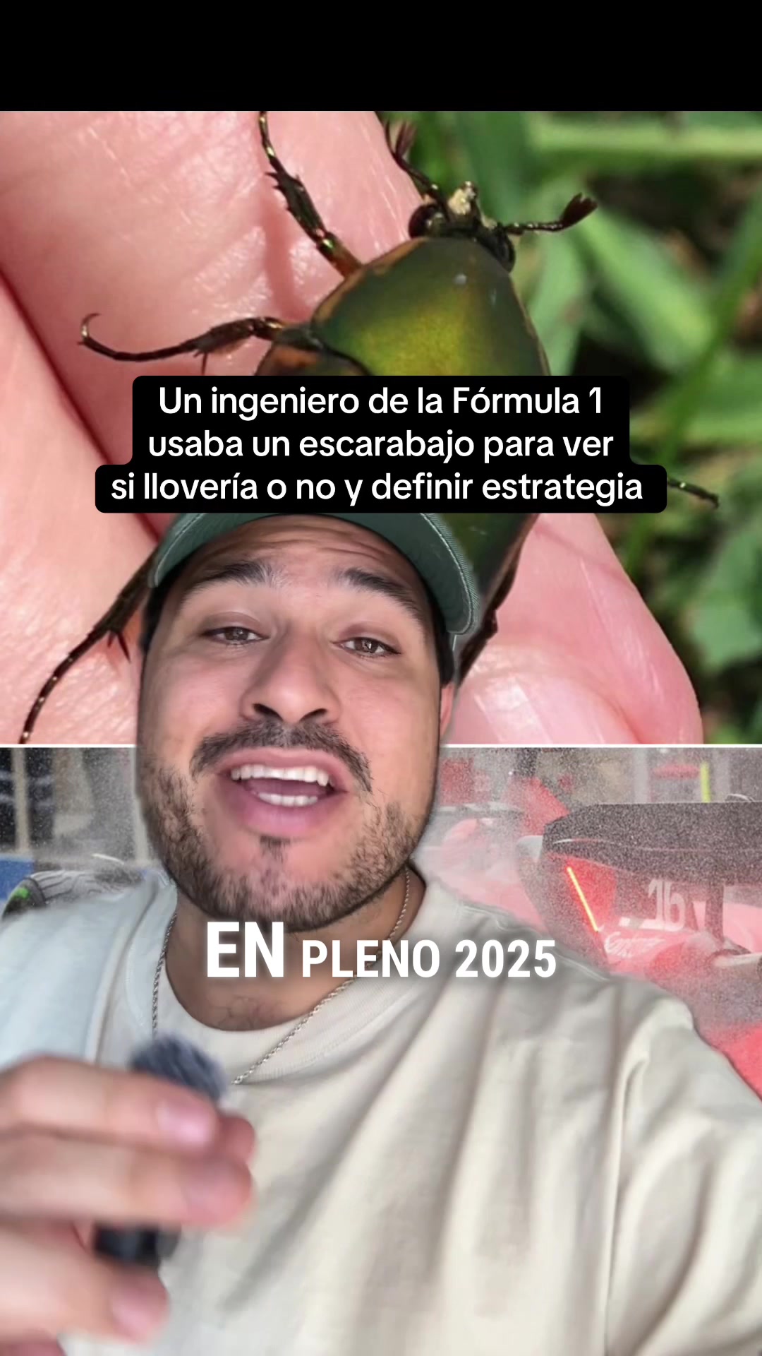@DelbosqueF1