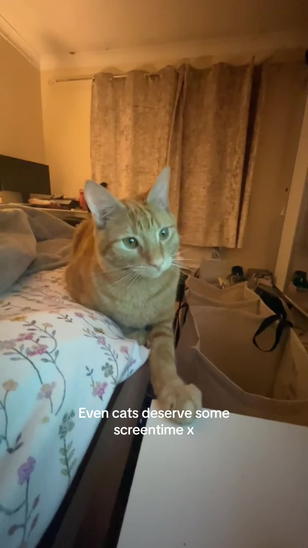 @emily🫶🏼