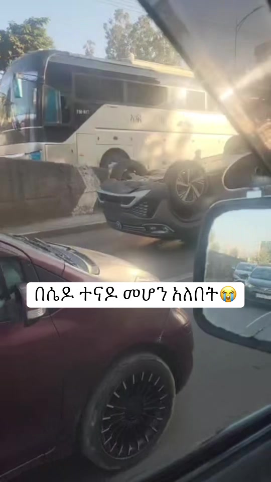 @Dudu ሁሉ አማረሽ 🤦♀️🆘🦁