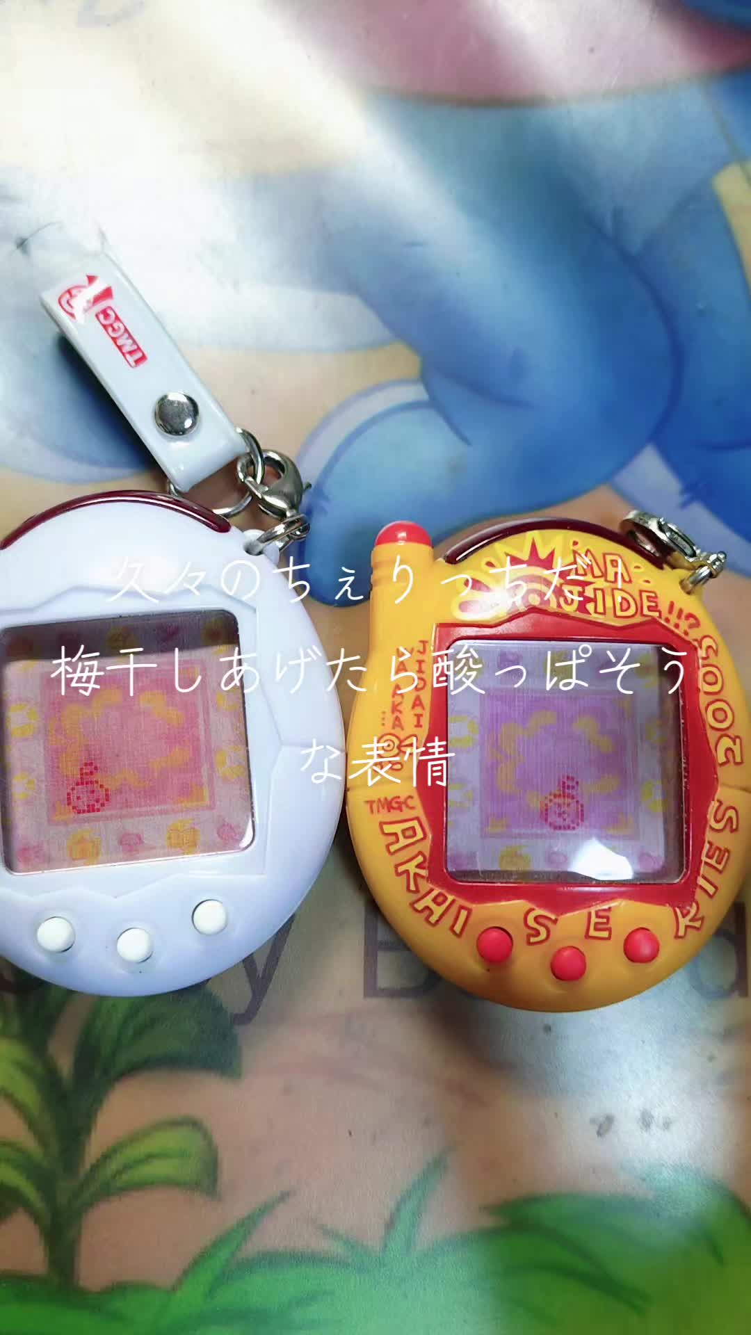@スギマユ