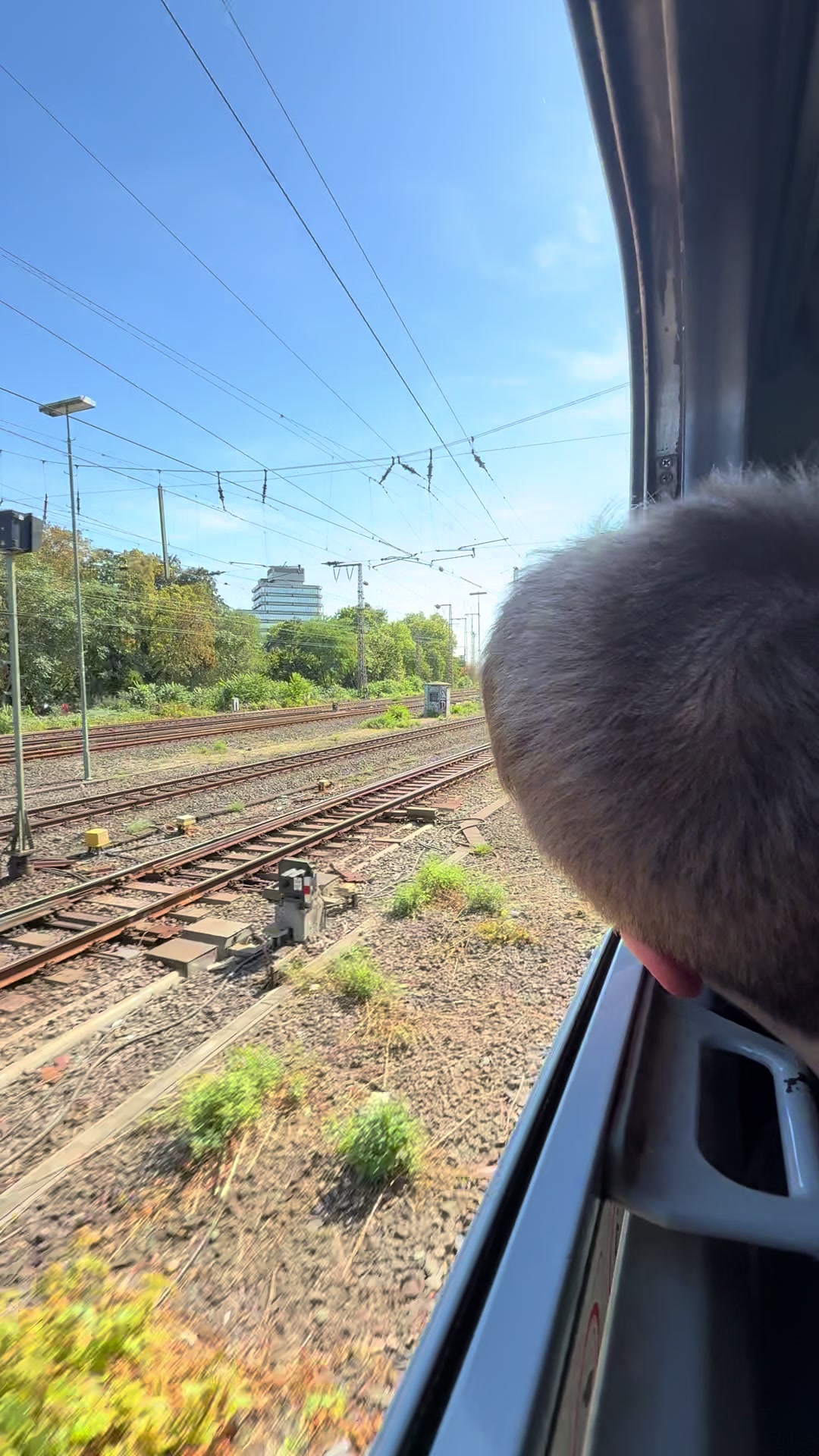 @S-Bahn TrainspotterWindeck
