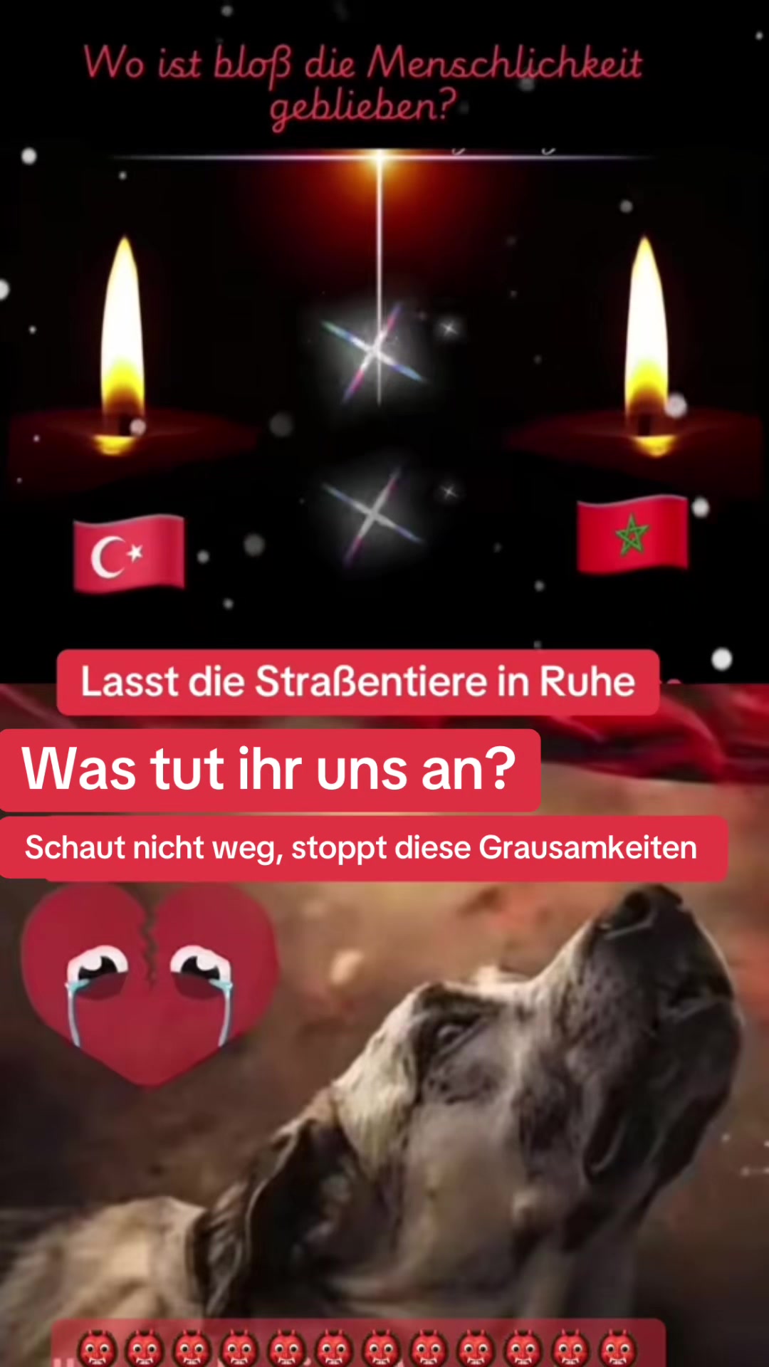 @Lua Team🐈🐕&zwj;🦺L&ouml;wenherz❤️🦁