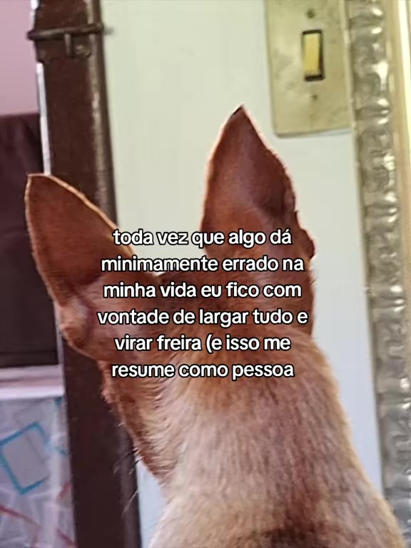 @Sam