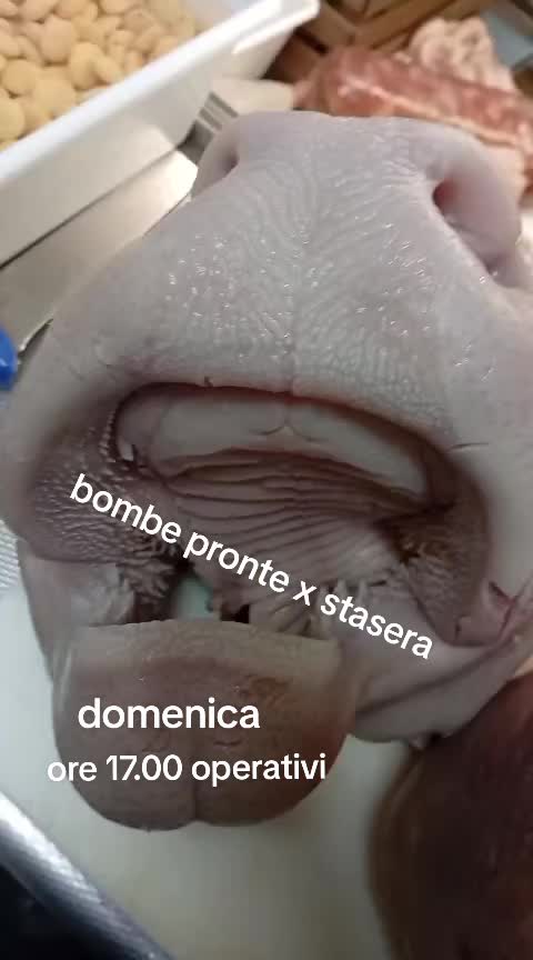 @TRIPPERIA FIORENZANO Gragnano