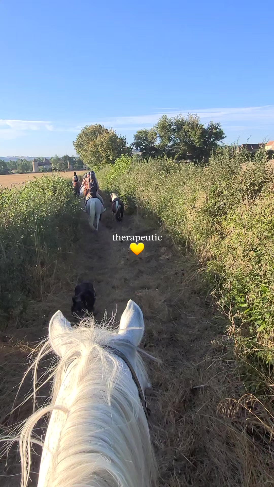@Adaline des rêveries ✨️🦄 ✨️