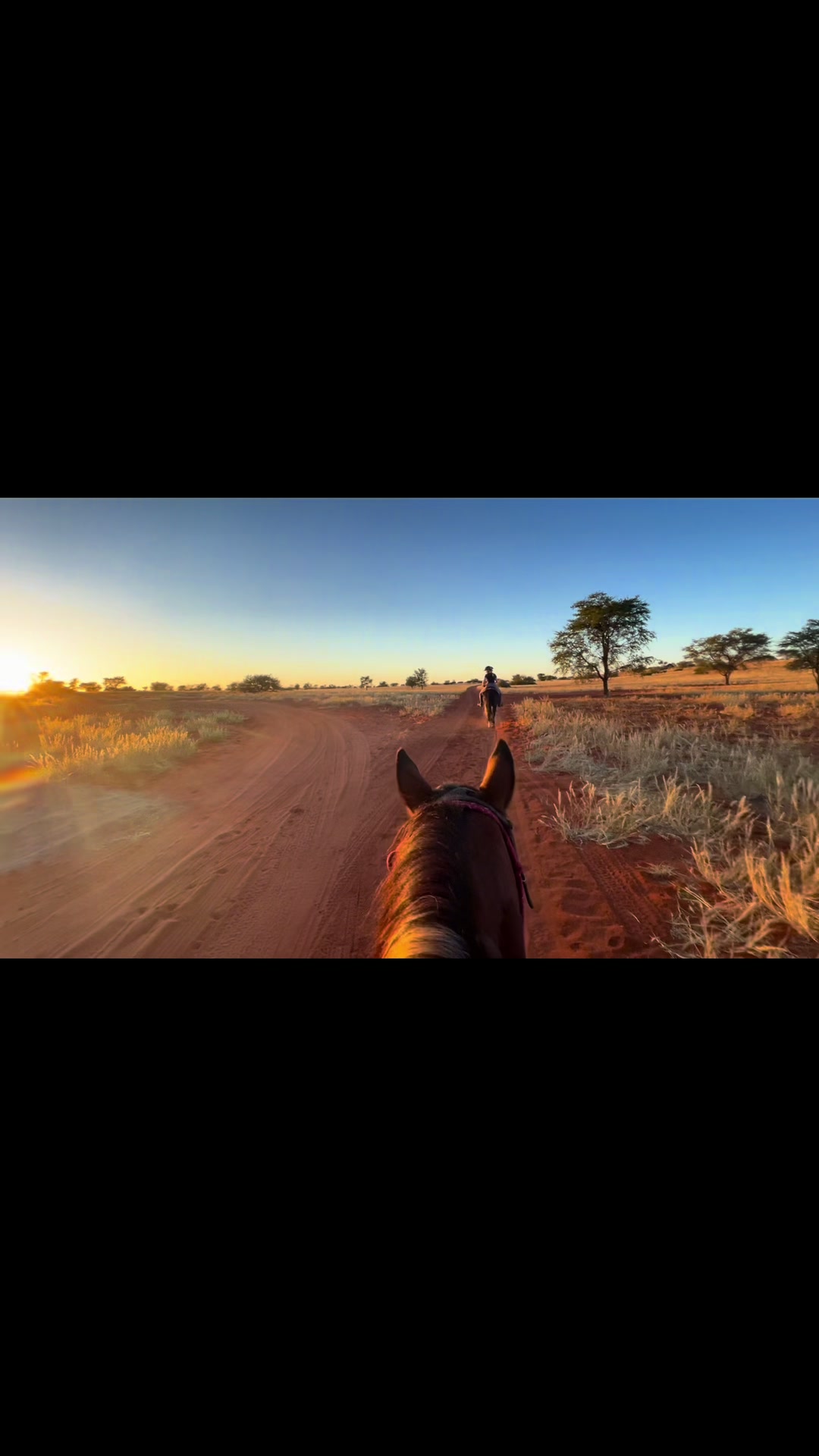 @Hoof & Travel 🐴🌍🐘