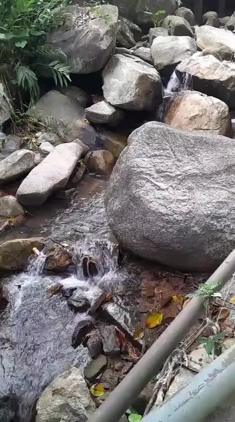 @ملاك السماء
