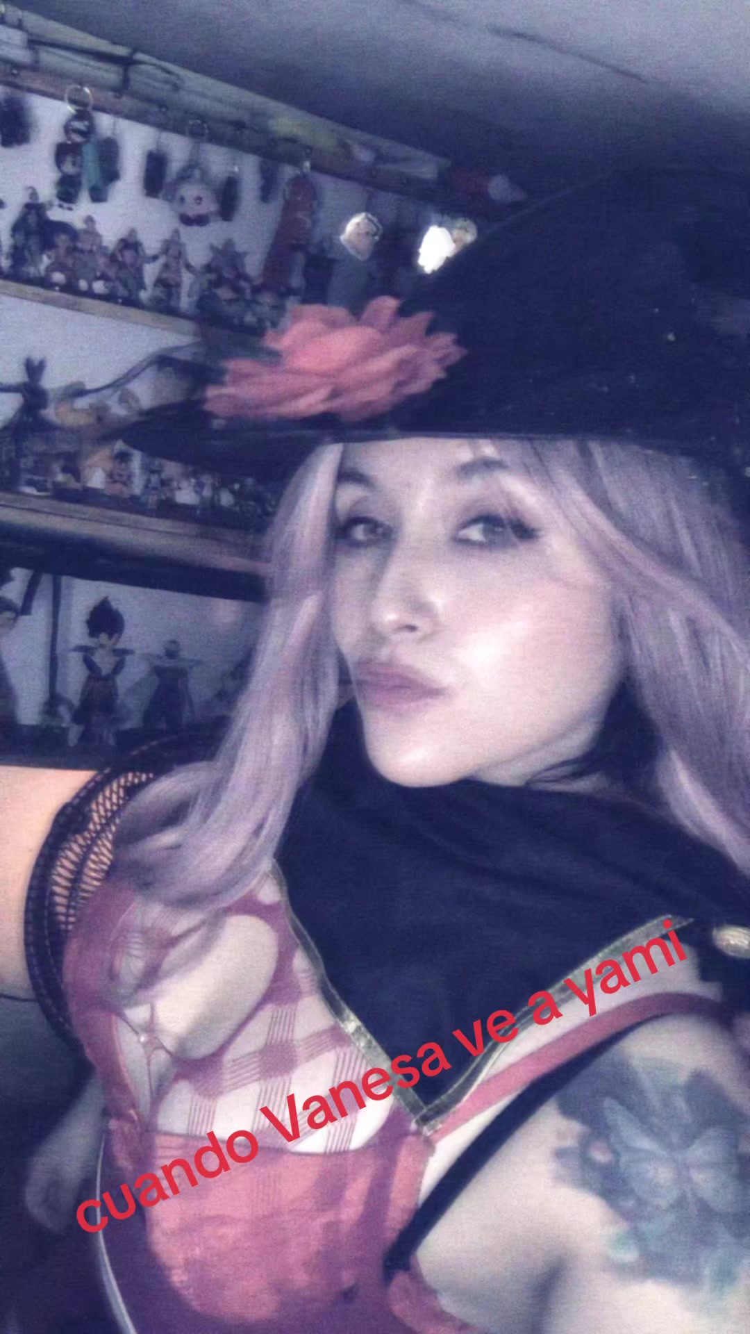 @ALEXANDRAMAOMAOCHAN19