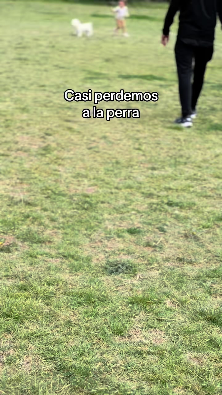 @Kendy Jara
