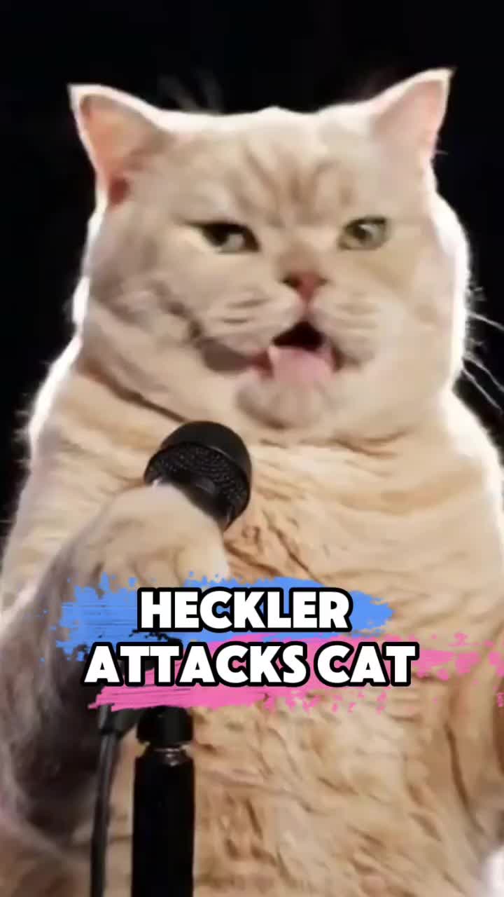 @comedyclubcats